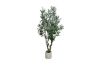 Picture of Artificial Potted Olive Plant - H230cm