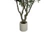 Picture of Artificial Potted Olive Plant - H230cm