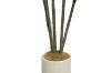 Picture of Artificial Potted Brazilian Red Ironwood Plant - H150cm