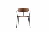 Picture of [FLOOR MODEL CLEARANCE] LYRA Dining Arm Chair (Walnut)