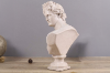 Picture of 374-001 Classic Greek Bust Sculpture Ornaments Character Figure Resin Sculpture (18cmx32cm)