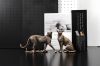 Picture of Standing/Sitting Cheetah Statue Decor