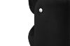 Picture of ADELL Accent Chair (Black)