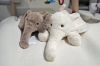 Picture of ELEPHANT H45/H70 Plush Cushion (Off-white/Brown)