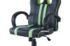 Picture of  [FLOOR MODEL CLEARANCE] HALVERSON Gaming Office Chair (Black and Green)