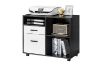 Picture of  [FLOOR MODEL CLEARANCE] HARKEN 2-Drawer Cabinet with Wheels (Black&White)
