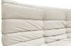 Picture of DIANNA 2 Seater Velvet Sofa Range (Cream)