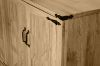 Picture of DORN 4-Door Storage Cabinet with Shelves (Oak Colour)