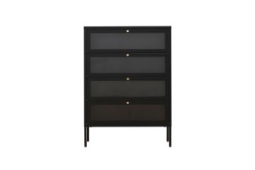 Picture of [FLOOR MODEL CLEARANCE] STARK Steel Frame 4-Door Transparent Glass Shoe Cabinet (Black)