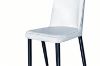 Picture of AINA Dining Chair (Cream White) - Set of 4
