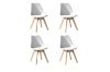 Picture of EFRON Dining Chair (Multiple Colours)