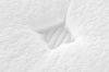 Picture of LAVORA Perfume Fabric Foam Mattress in Single/Double/Queen Size