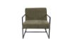 Picture of FERRIS Lounge Chair (Green)