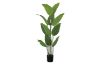 Picture of 353-002 Artificial Green Traveler's Palm Plant - H150cm