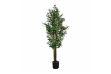 Picture of 353-007 Artificial Green Olive Plant - H185cm