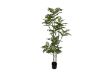 Picture of 353-009 Artificial Green Lacquered Wood Plant - H170cm