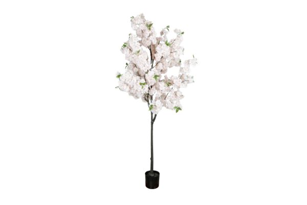 Picture of 353-010 Artificial White Cherry Blossom Tree Plant - H190cm