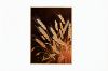 Picture of 357-006 Decorative Wall Art with Golden Frame (40×60cm) 