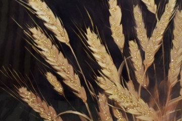 Picture of 357-006 Decorative Wall Art with Golden Frame (40×60cm) - Wheat Ear