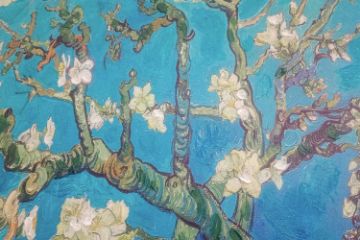 Picture of 367-004 Hand-Finished Canvas Decorative Wall Art (100×100cm) - Almond Blossoms (1890) by Vincent van Gogh