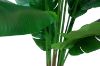 Picture of 353-001 Artificial Green Traveler's Palm Plant - H180cm
