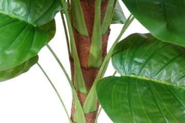 Picture of 353-012 Artificial Green Pothos Plant - H140cm