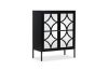 Picture of  [FLOOR MODEL CLEARANCE] STARK Steel Frame 2-Mirror Door Cabinet (Black)