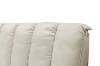 Picture of ALANYA Queen Size Bed Frame (Champagne)