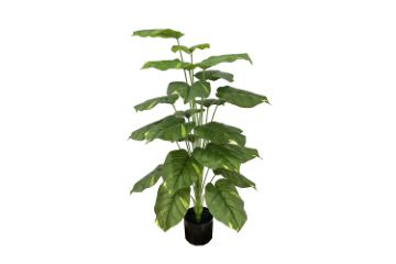 Picture of 353-015 Artificial Green Pothos Plant - H100cm