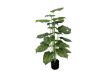 Picture of 353-016 Artificial Green Pothos Plant - H100cm
