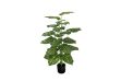 Picture of 353-017 Artificial Green Pothos Plant - H100cm 
