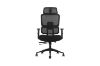 Picture of FLEXO Height Adjustable Mesh Office Chair with Lumbar Support (Dark)