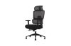 Picture of FLEXO Height Adjustable Mesh Office Chair (Dark)