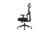 Picture of FLEXO Height Adjustable Mesh Office Chair with Lumbar Support (Dark)