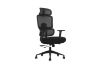 Picture of FLEXO Height Adjustable Mesh Office Chair (Dark)