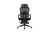 Picture of FLEXO Height Adjustable Mesh Office Chair with Lumbar Support (Dark)