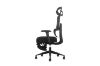 Picture of FLEXO Height Adjustable Mesh Office Chair with Lumbar Support (Dark)