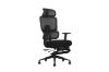 Picture of FLEXO Height Adjustable Mesh Office Chair (Dark)