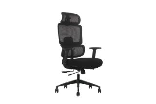 Picture of FLEXO Height Adjustable Mesh Office Chair (Dark)