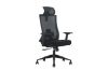 Picture of MAVEN High Back Office Chair with Adjustable Headrest, Backrest & Lumbar Support & 3D Armrests