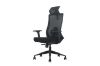 Picture of MAVEN High Back Office Chair with Adjustable Headrest, Backrest & Lumbar Support & 3D Armrest