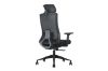Picture of MAVEN High Back Office Chair with Adjustable Ice-Silk Mesh Backrest & Adjustable Headrest, Lumbar Support & 3D Armrests