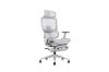 Picture of FLEXO Height Adjustable Mesh Seat Office Chair with Lumbar Support (Grey)