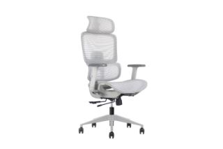 Picture of FLEXO Height Adjustable Mesh Seat Office Chair with Lumbar Support (Grey)