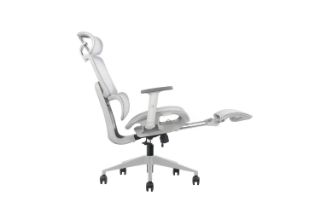 Picture of FLEXO Height Adjustable Mesh Seat Office Chair with Lumbar Support & Footrest (Grey)