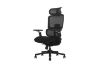 Picture of FLEXO Pro Height Adjustable Mesh Office Chair with Adjustable Headrest & Backrest, 5D Armrest and Seat Slider (Dark)
