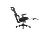 Picture of FLEXO Pro Height Adjustable Mesh Office Chair with 5D Armrests, Lumbar Support (Dark)