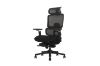 Picture of FLEXO Pro Height Adjustable Mesh Office Chair with Adjustable Headrest & Backrest, 5D Armrest and Seat Slider (Dark)