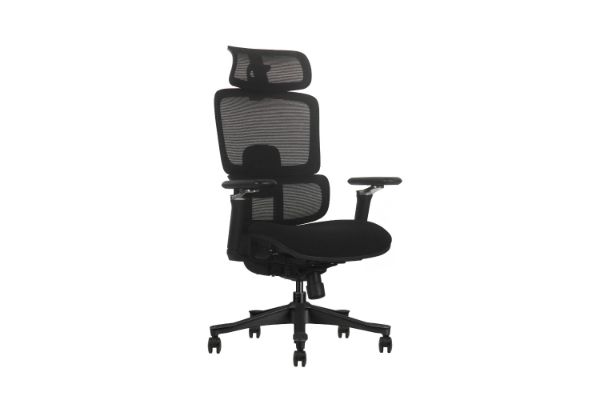 Picture of FLEXO Pro Height Adjustable Mesh Office Chair with 5D Armrests, Lumbar Support (Dark)