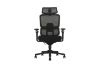 Picture of FLEXO Pro Height Adjustable Mesh Office Chair with 5D Armrests, Lumbar Support (Dark)